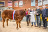 Jack the Lad’s Christmas Champ ‘Breaking Bad’ - L to R S Ryder (Farmers Guardian Sponsor), Jack Forsyth, G Murray (Frank Johnston Tractors Sponsor), Evan Hall, Scotbeef Ltd (Judge)