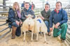 Reserve champion sheep 