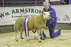 Champion_Texel_(1)